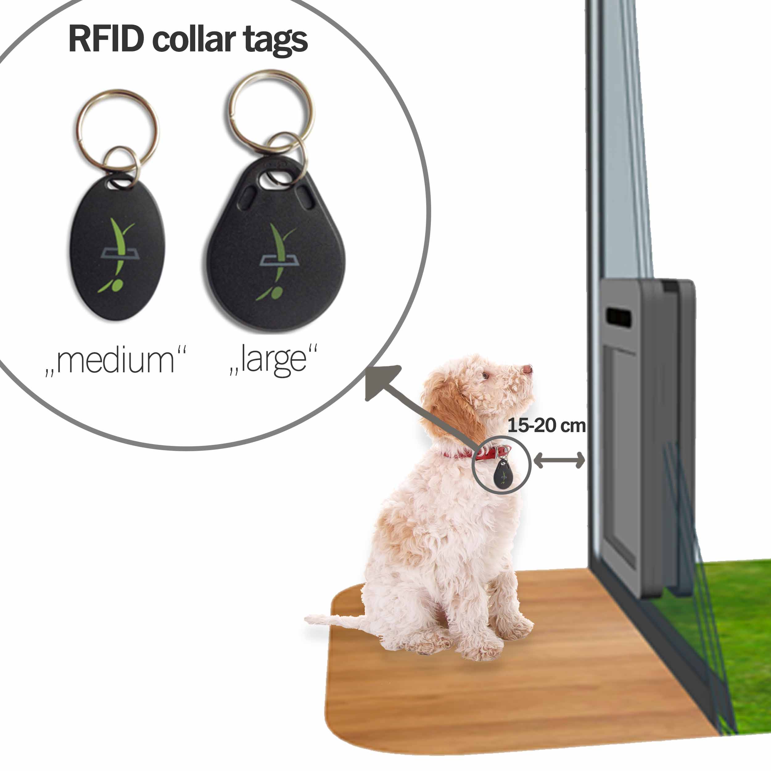 RFID chips – function and differences between collar tags and implanted microchips
